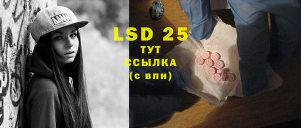 индика Богородицк