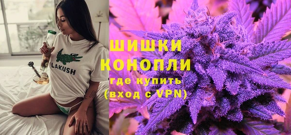 индика Богородицк
