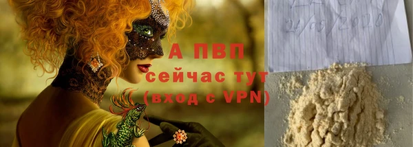 индика Богородицк