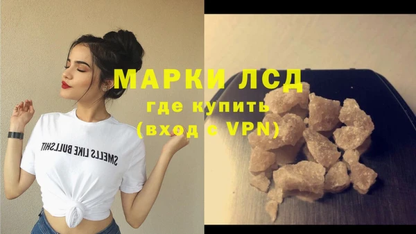 индика Богородицк
