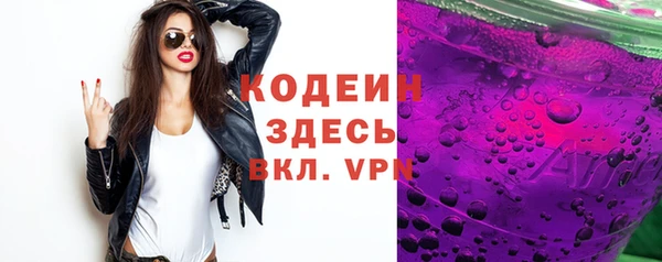 индика Богородицк