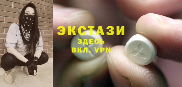 индика Богородицк