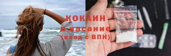 индика Богородицк