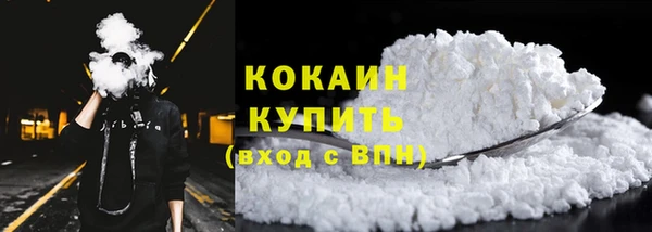 шишки Богородск