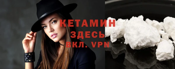 индика Богородицк