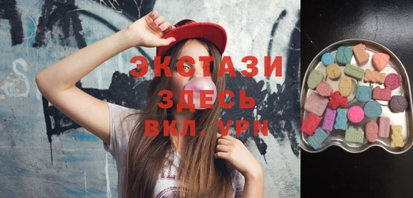 мдпв Ельня