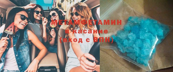 индика Богородицк