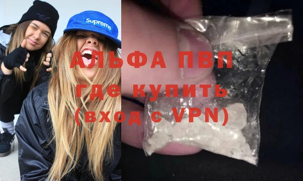 индика Богородицк