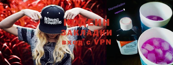 индика Богородицк