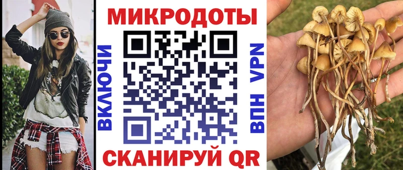 Галлюциногенные грибы Magic Shrooms  хочу   Пестово 